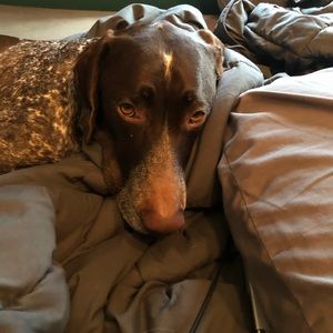 Meet your Posher, Heather